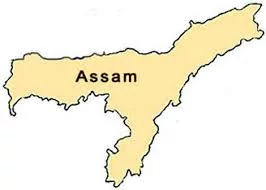 Assam Tenders