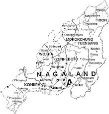 Nagaland Tenders